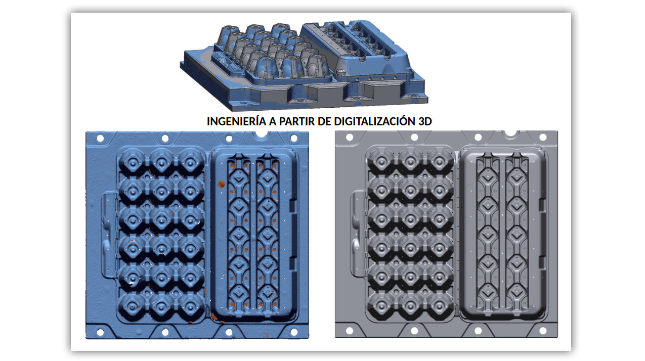Portafolio